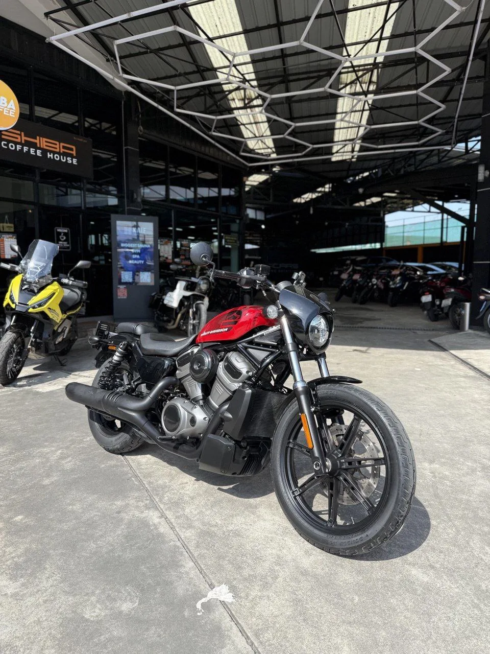 Harley-Davidson Nightster 2024